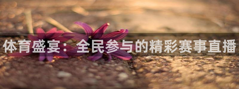 新闻图片