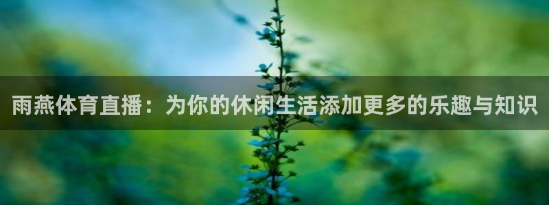 雨燕体育直播：为你的休闲生活添加更多的乐趣与知识