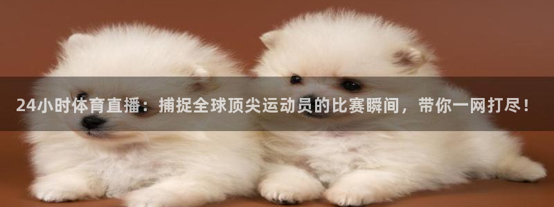 24小时体育直播：捕捉全球顶尖运动员的比赛瞬间，带你一网打尽！