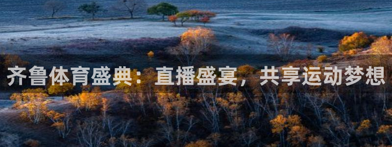 齐鲁体育盛典：直播盛宴，共享运动梦想