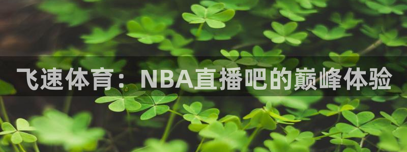 飞速体育：NBA直播吧的巅峰体验