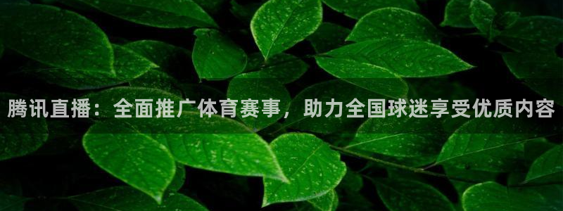 腾讯直播：全面推广体育赛事，助力全国球迷享受优质内容