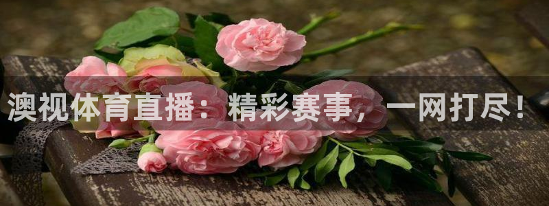 澳视体育直播：精彩赛事，一网打尽！