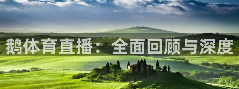 鹅体育直播：全面回顾与深度