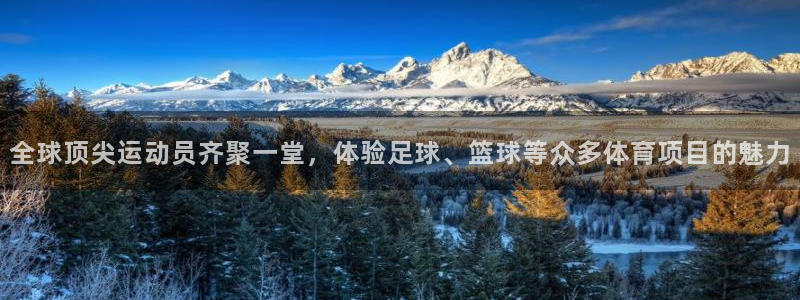 全球顶尖运动员齐聚一堂，体验足球、篮球等众多体育项目的魅力
